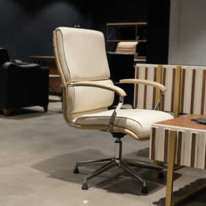 Ofis Sandalyeleri: Çalışma Alanlarında Dinamizm ve Estetiğin Buluşması